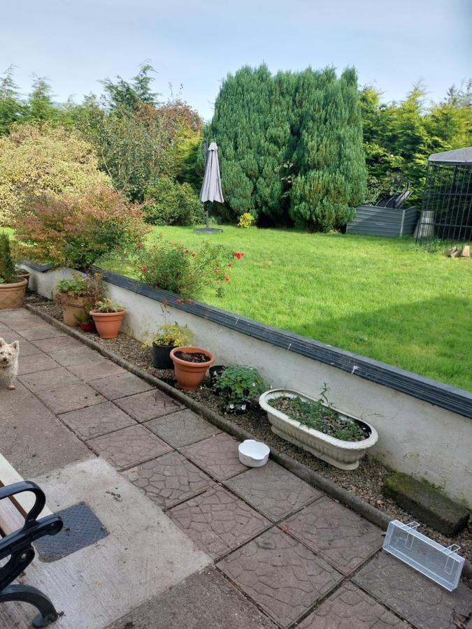 Hillside Haven 2 Daire Tipperary Dış mekan fotoğraf